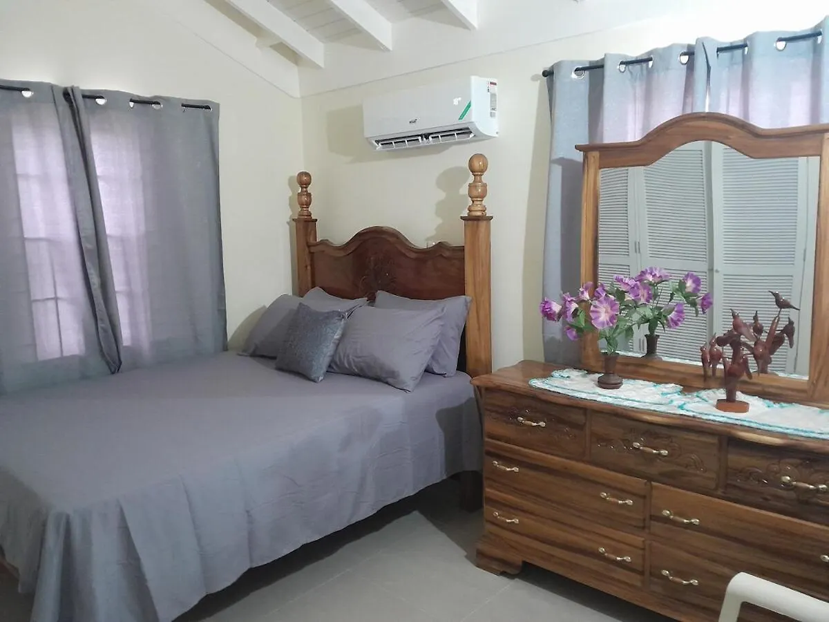C & J'S Coco Manor Vacation Home Old Harbour Jamaica